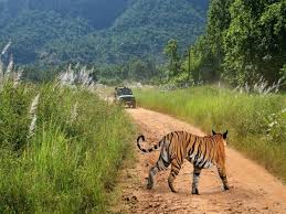 Pachmarhi sightseeing tour packages
